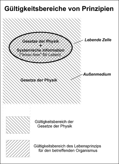 Abb. 2 Gültigkeitsbereich von Prinzipien