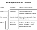 zur Abb. 5 - die dreigeteilte Seele des Aristoteles